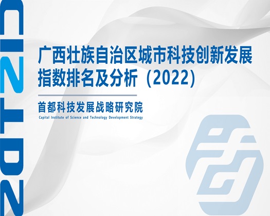 日逼网大全【成果发布】广西壮族自治区城市科技创新发展指数排名及分析（2022）